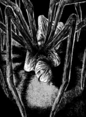 görsel_2025-12-08_192802009