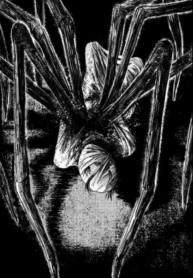 görsel_2025-12-08_192802009